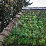 Toitures végétalisées en milieu urbain : comment la nature conquiert les toits ?