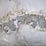 Quelles sont les causes de l’assèchement des murs ?