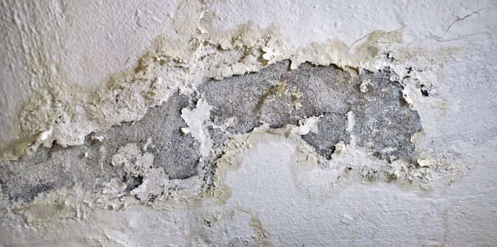 Quelles sont les causes de l’assèchement des murs ?