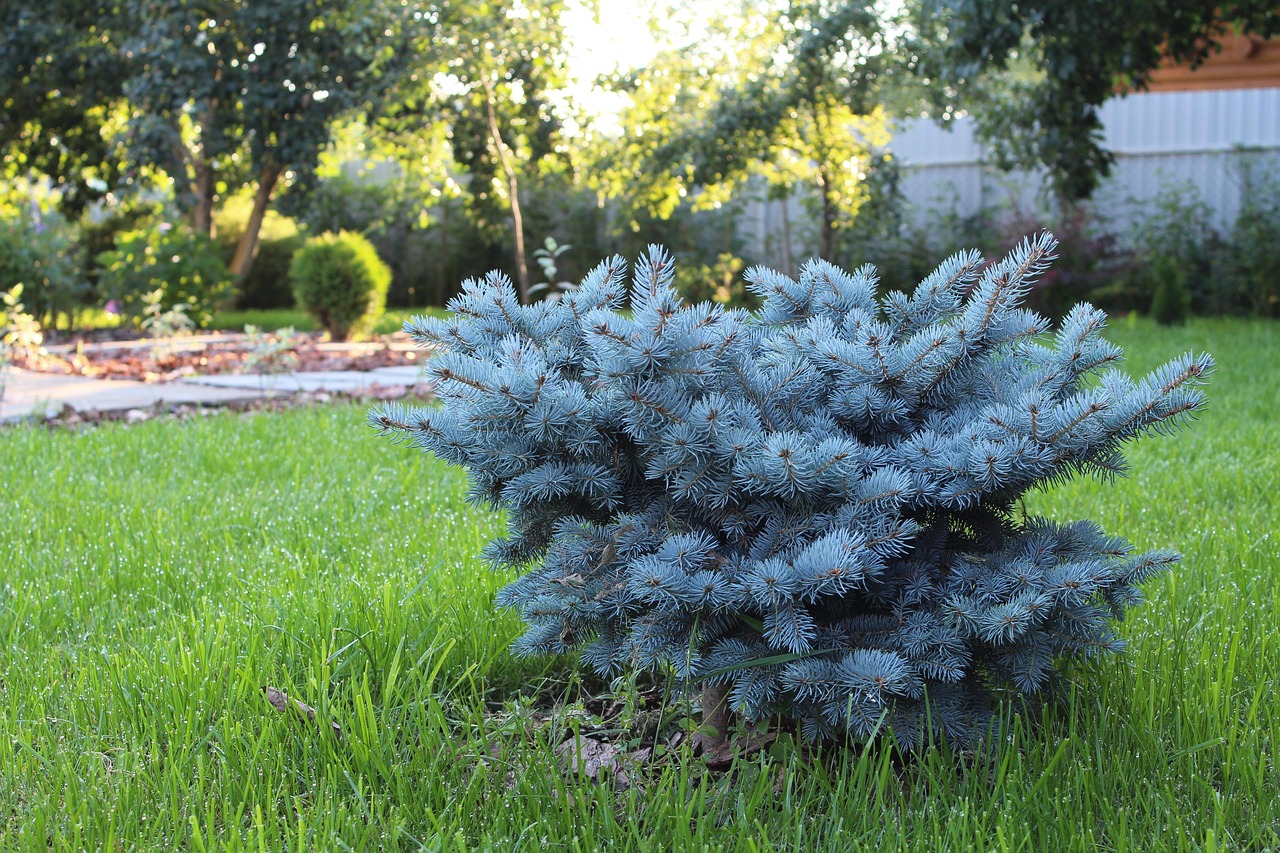 découvrez nos services d'aménagement paysager pour transformer votre jardin en un espace magnifique et accueillant.