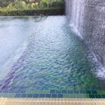 Les plus belles réalisations de piscine naturelle pour s’inspirer