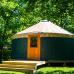 Yourte en bois : quelle essence choisir pour une construction durable ?