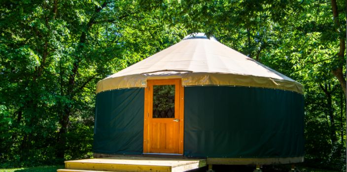 Yourte en bois : quelle essence choisir pour une construction durable ?